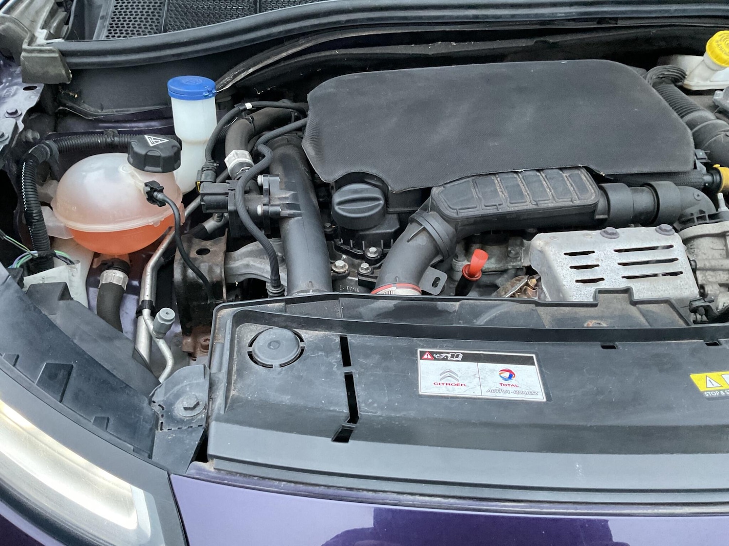 Used Citroen C4 Cactus 2016 for sale - 77331138: Photo 33