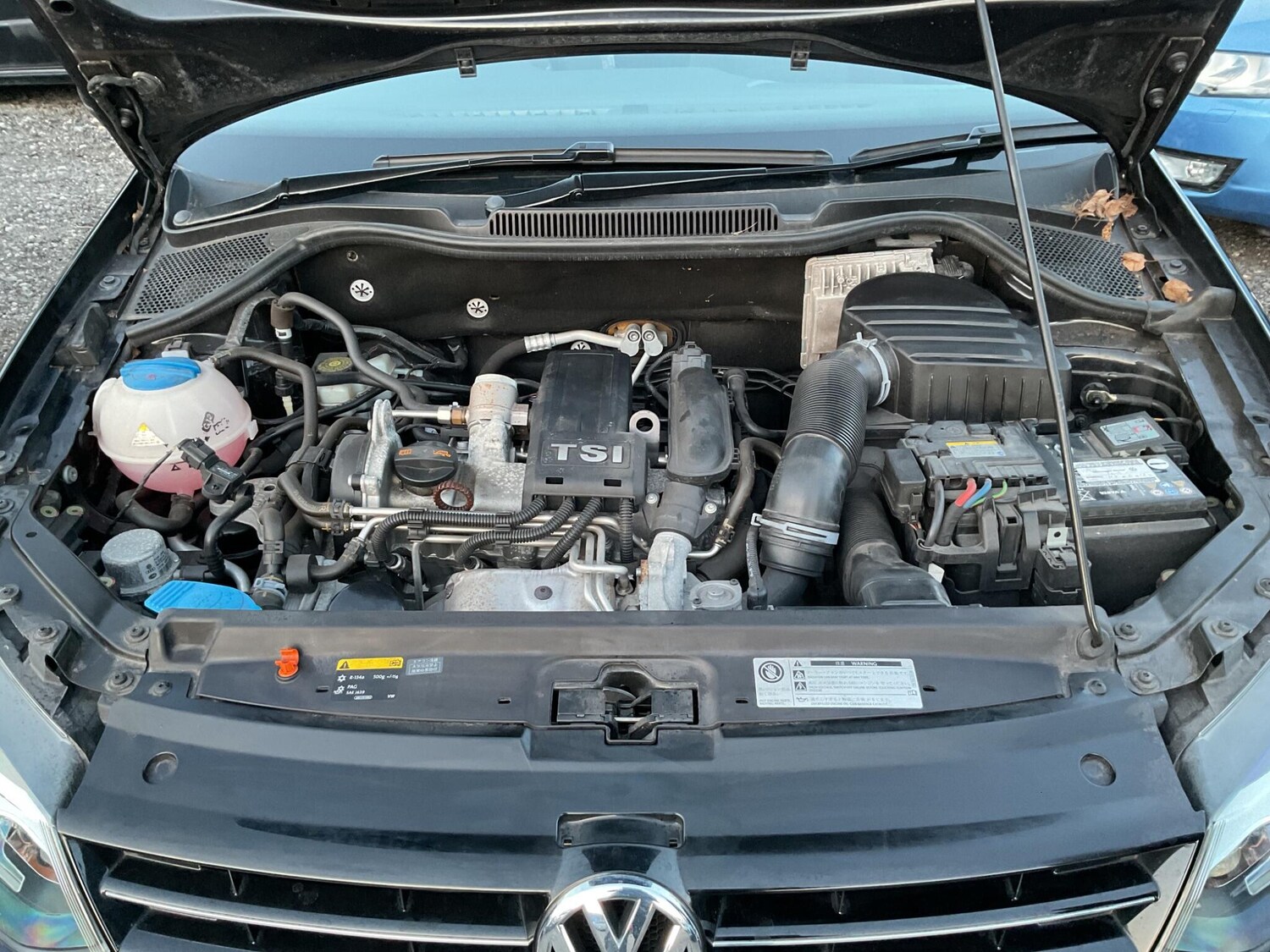 Used Volkswagen Polo 2025 for sale - 77839705: Photo 35