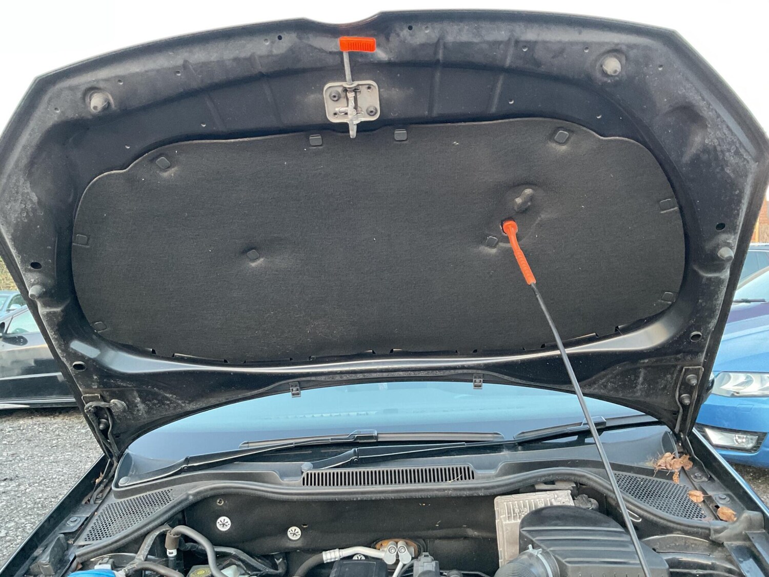 Used Volkswagen Polo 2025 for sale - 77839705: Photo 48