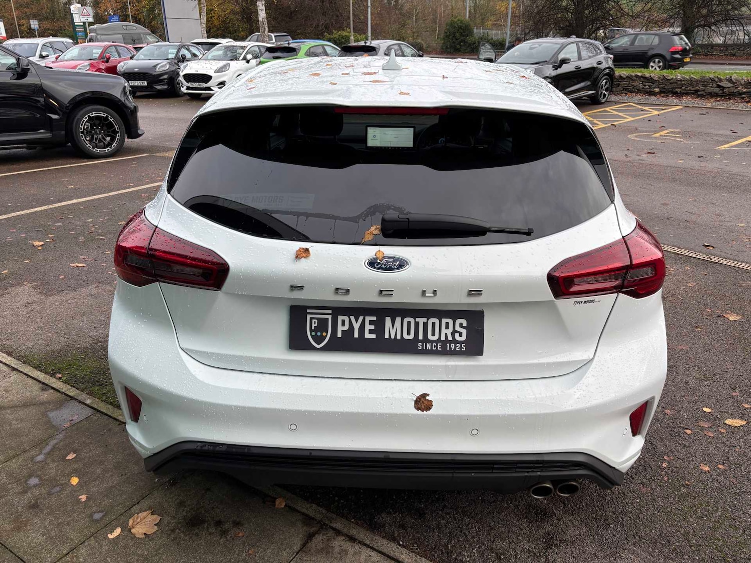 Used Ford Focus 2023 for sale - 76466555: Photo 6