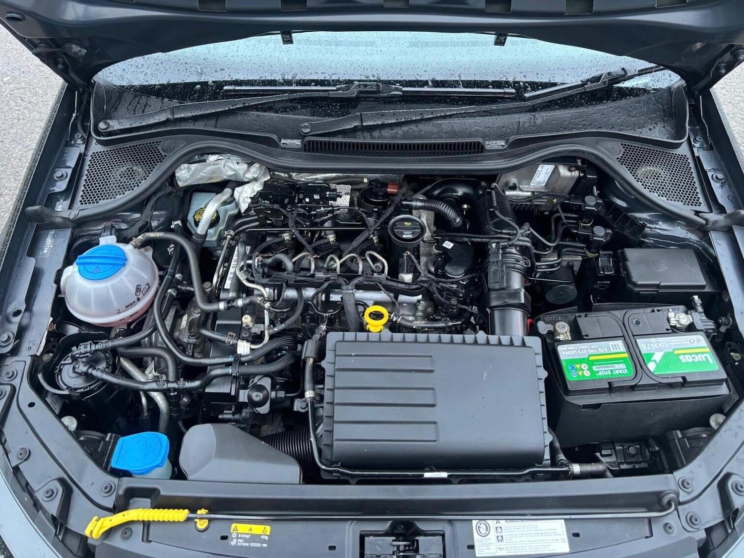 Used Volkswagen Polo 2016 for sale - 77468466: Photo 42