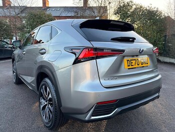Used Lexus NX 2020 for sale - 77166418: Photo