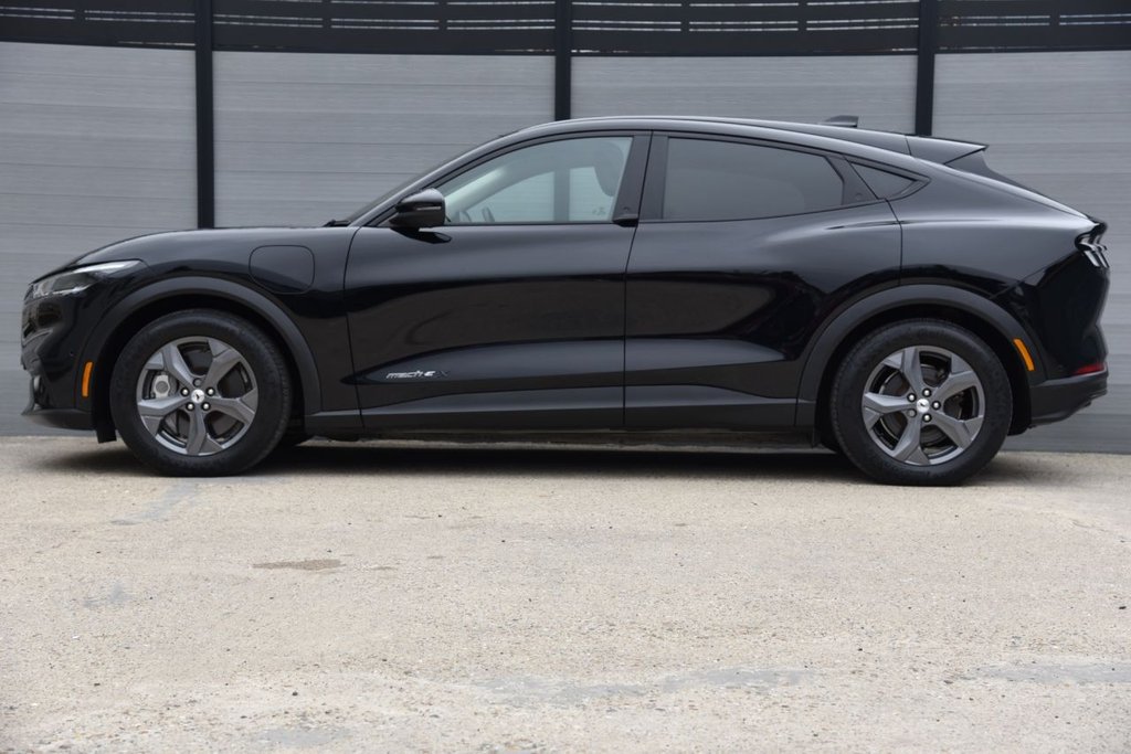 Used Ford Mustang Mach-E 2021 for sale - 76023721: Photo 7