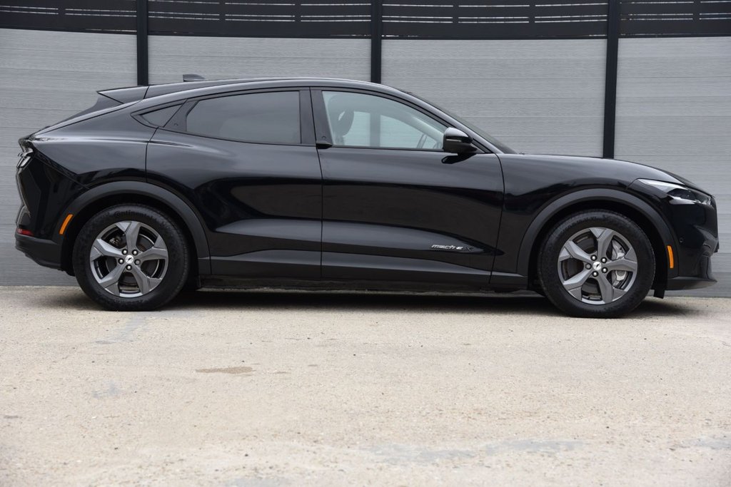 Used Ford Mustang Mach-E 2021 for sale - 76023721: Photo 8