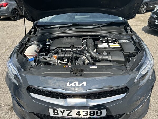 Used Kia XCeed 2022 for sale - 75570505: Photo 15