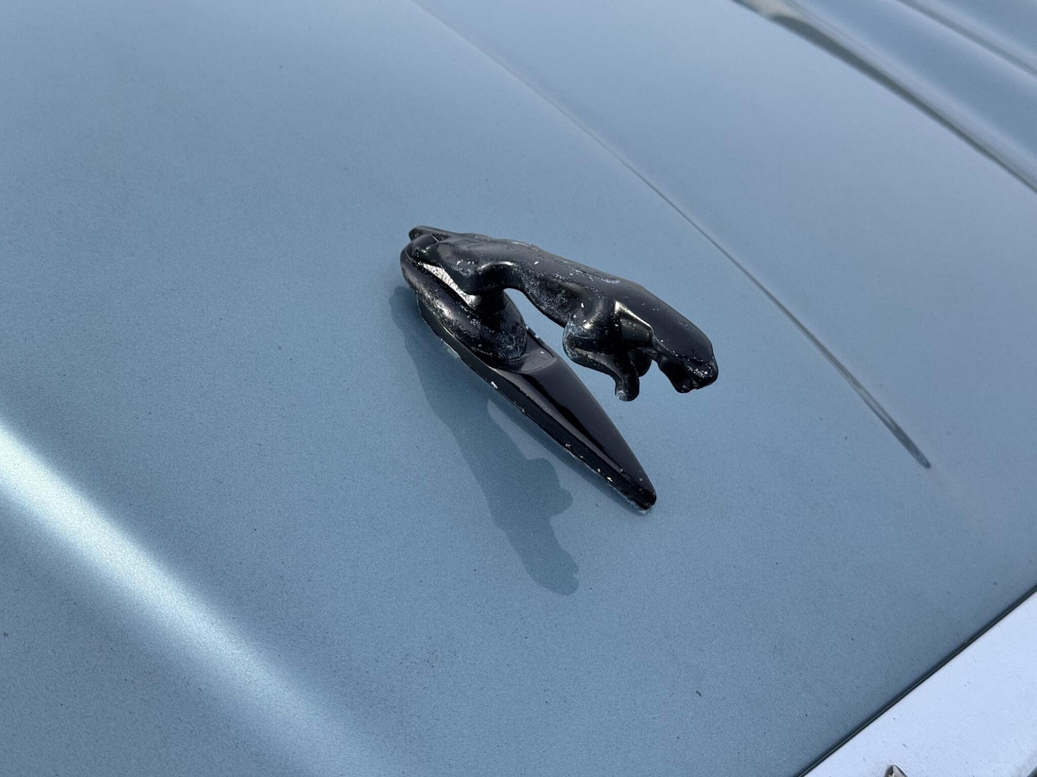 Used Jaguar XJ 2004 for sale - 77799299: Photo 49