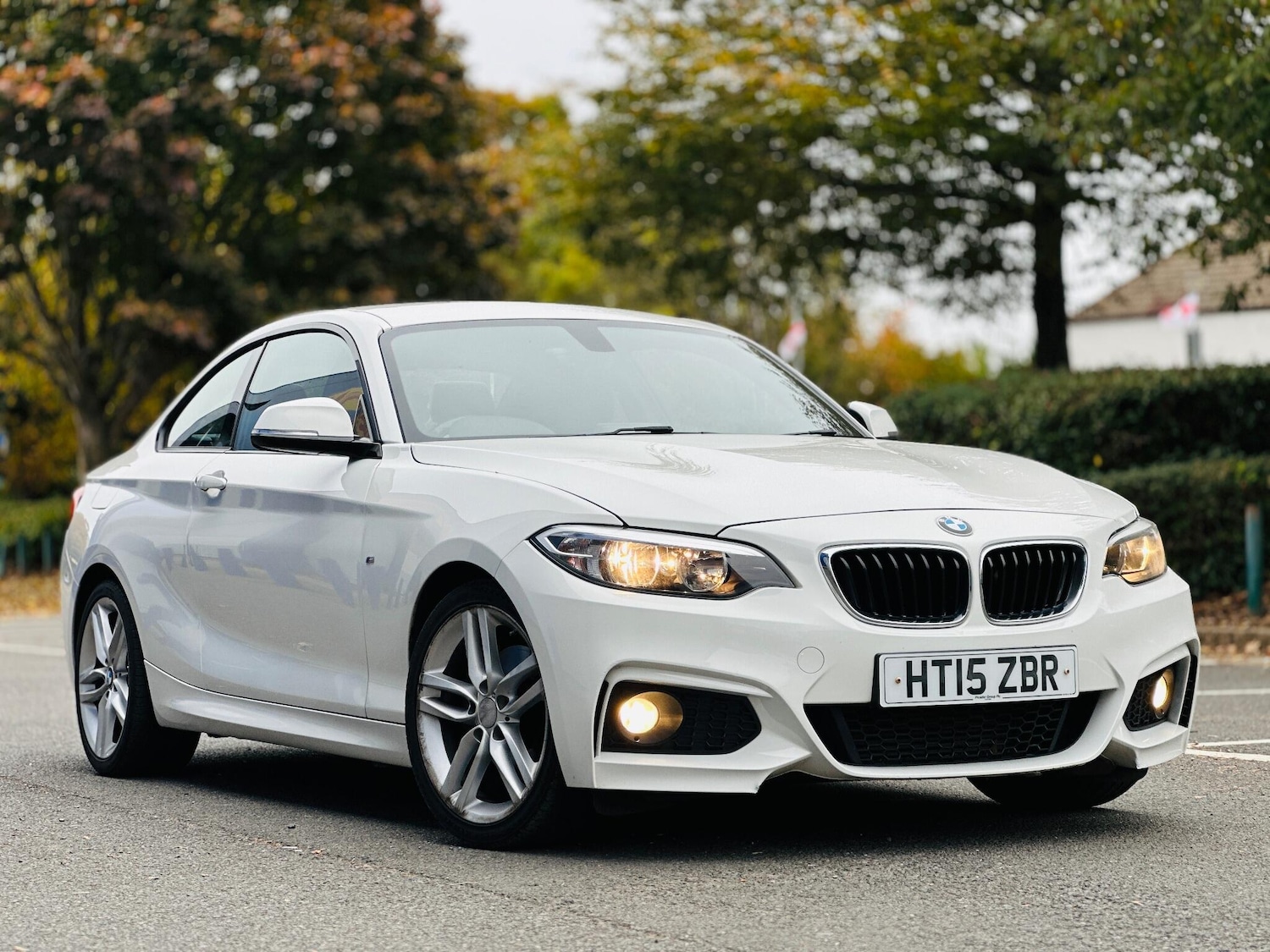 Used BMW 2 Series 2015 for sale - 76260613: Photo 1