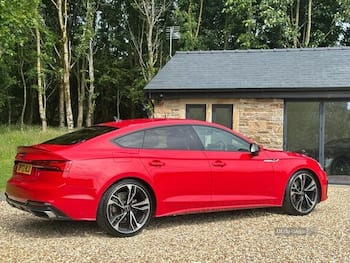 Used Audi A5 2020 for sale - 79795304: Photo