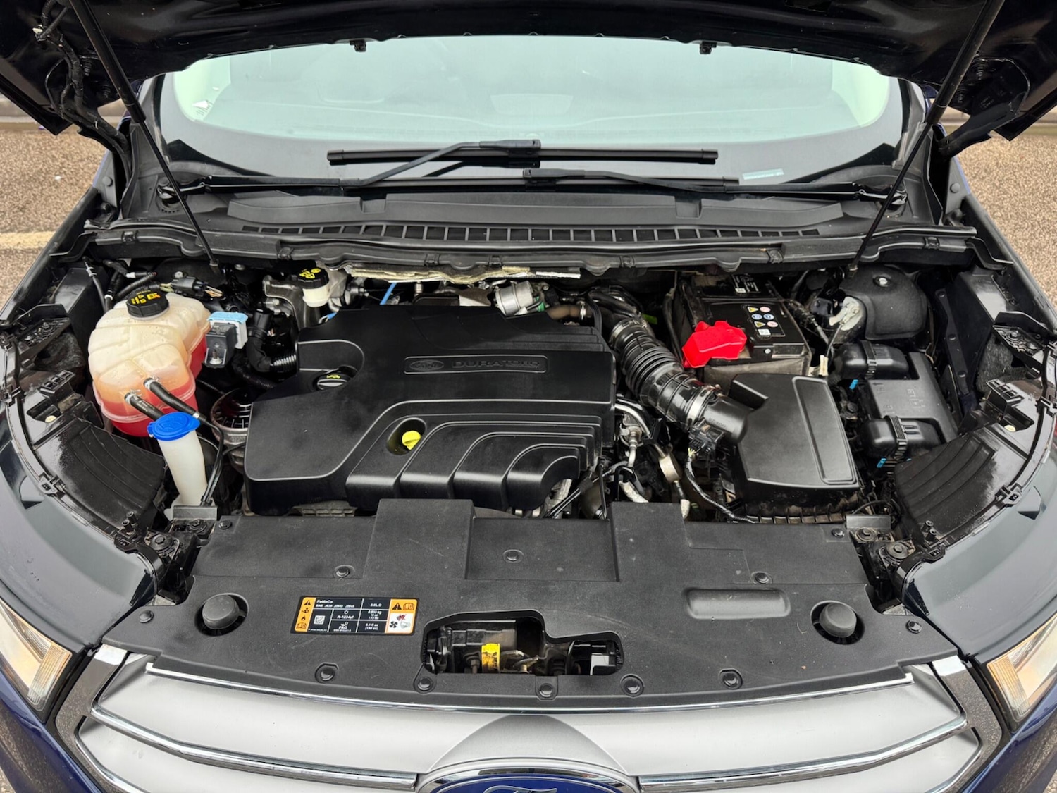 Used Ford Edge 2017 for sale - 77440458: Photo 19