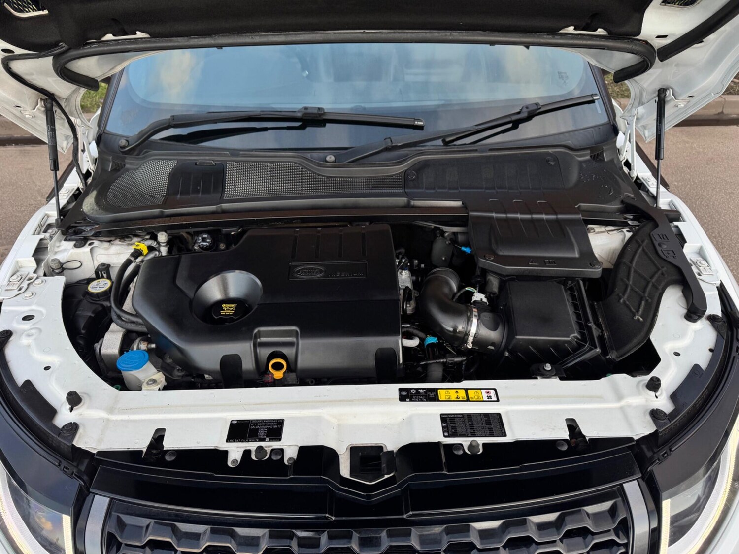 Used Land Rover Range Rover Evoque 2017 for sale - 78058505: Photo 25