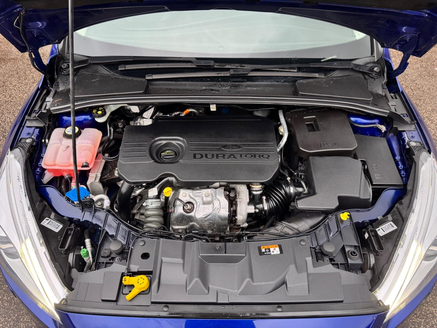 Used Ford Focus for sale - 77671991: Photo 19