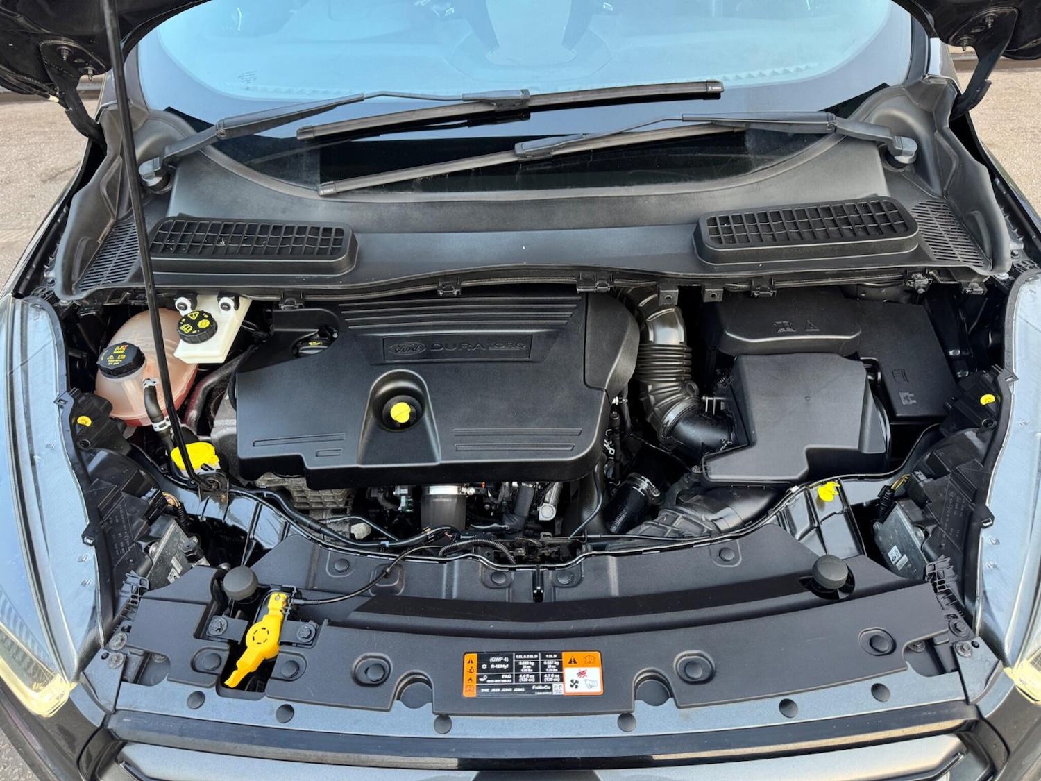 Used Ford Kuga for sale - 77807676: Photo 19