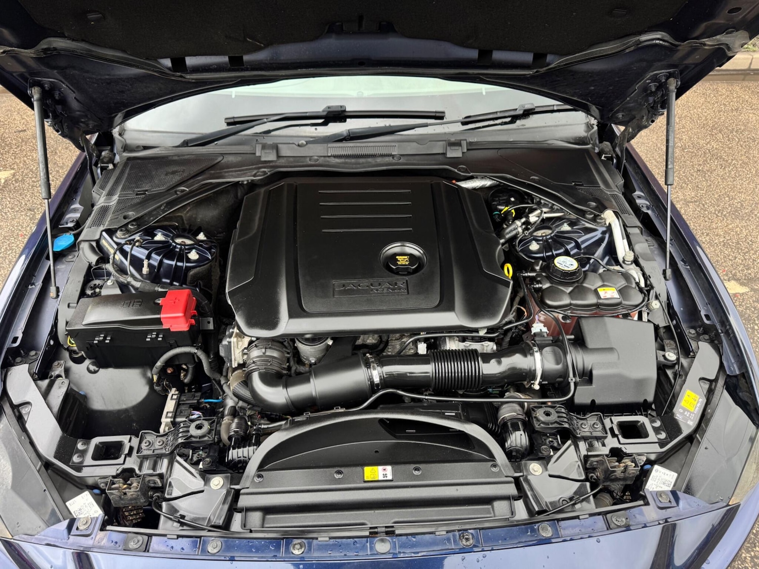 Used Jaguar XE 2017 for sale - 77304883: Photo 19