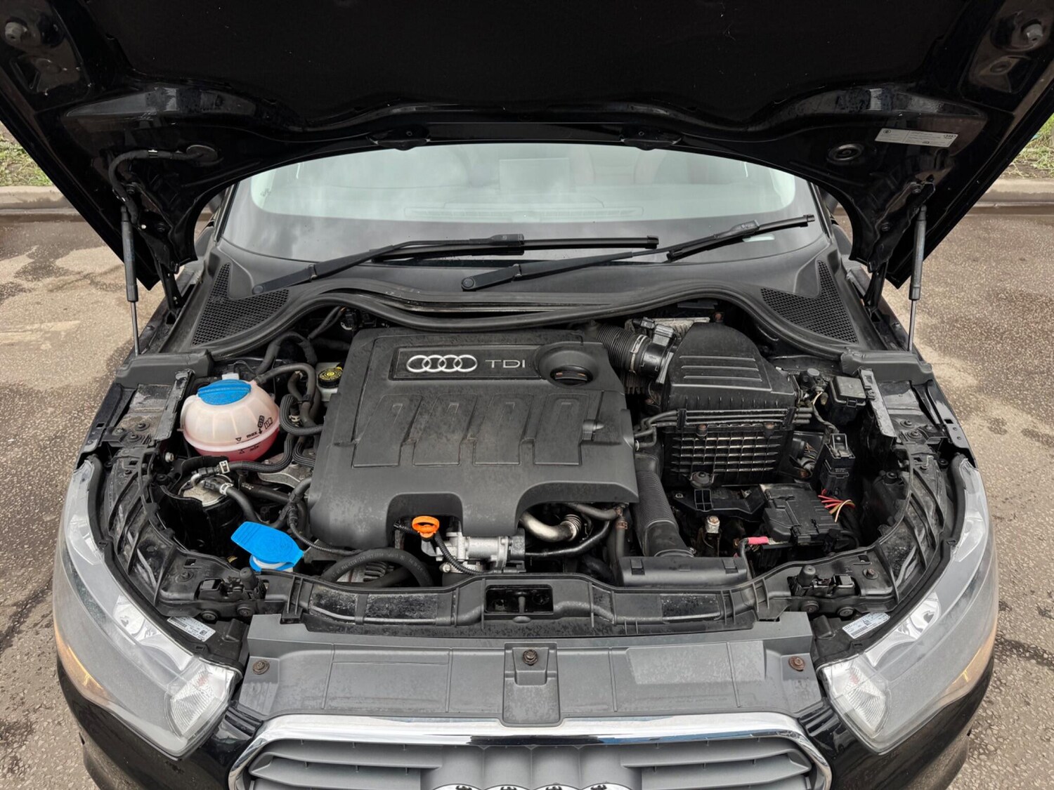 Used Audi A1 for sale - 77683940: Photo 19