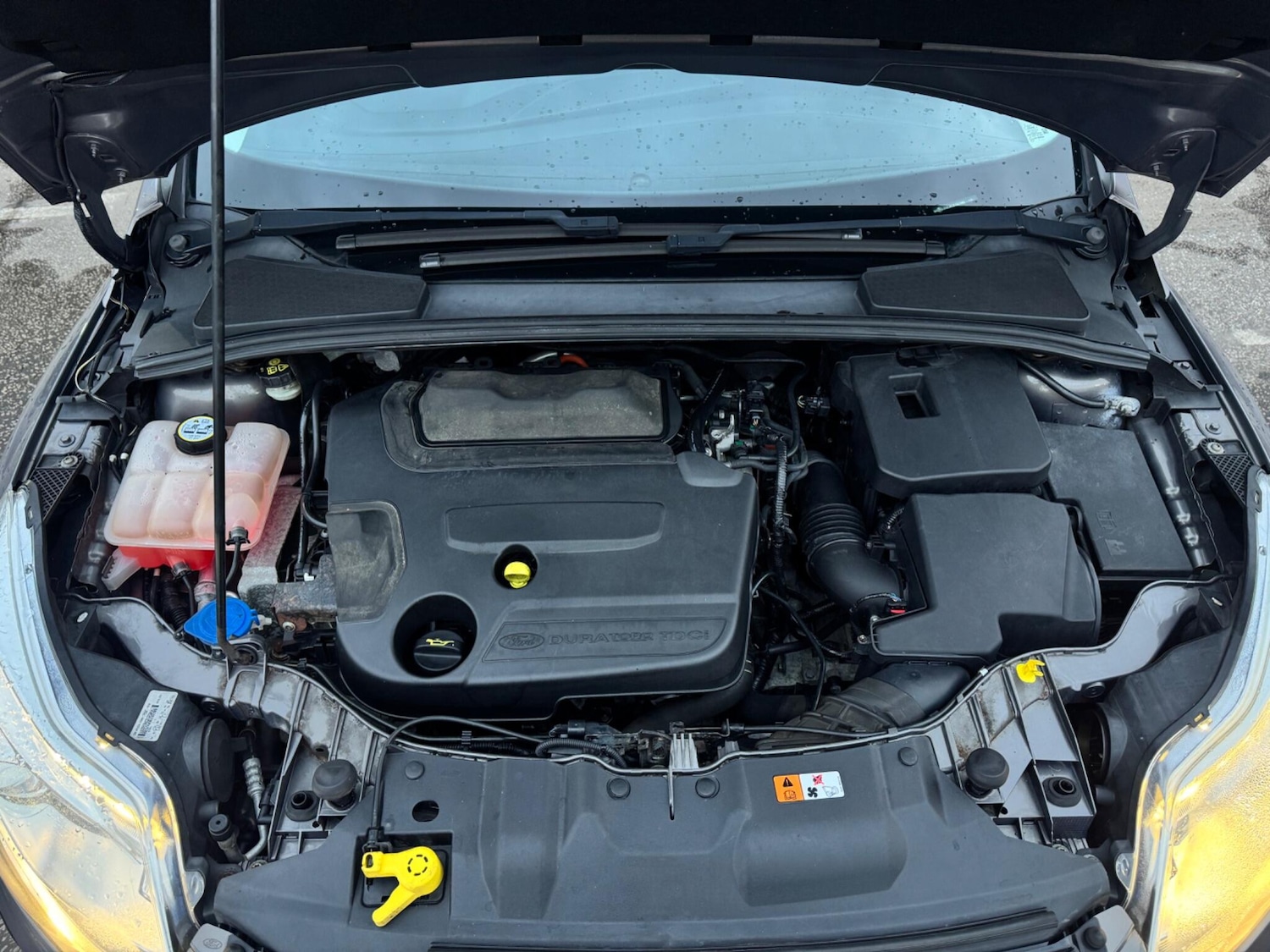 Used Ford Focus 2011 for sale - 76976605: Photo 21