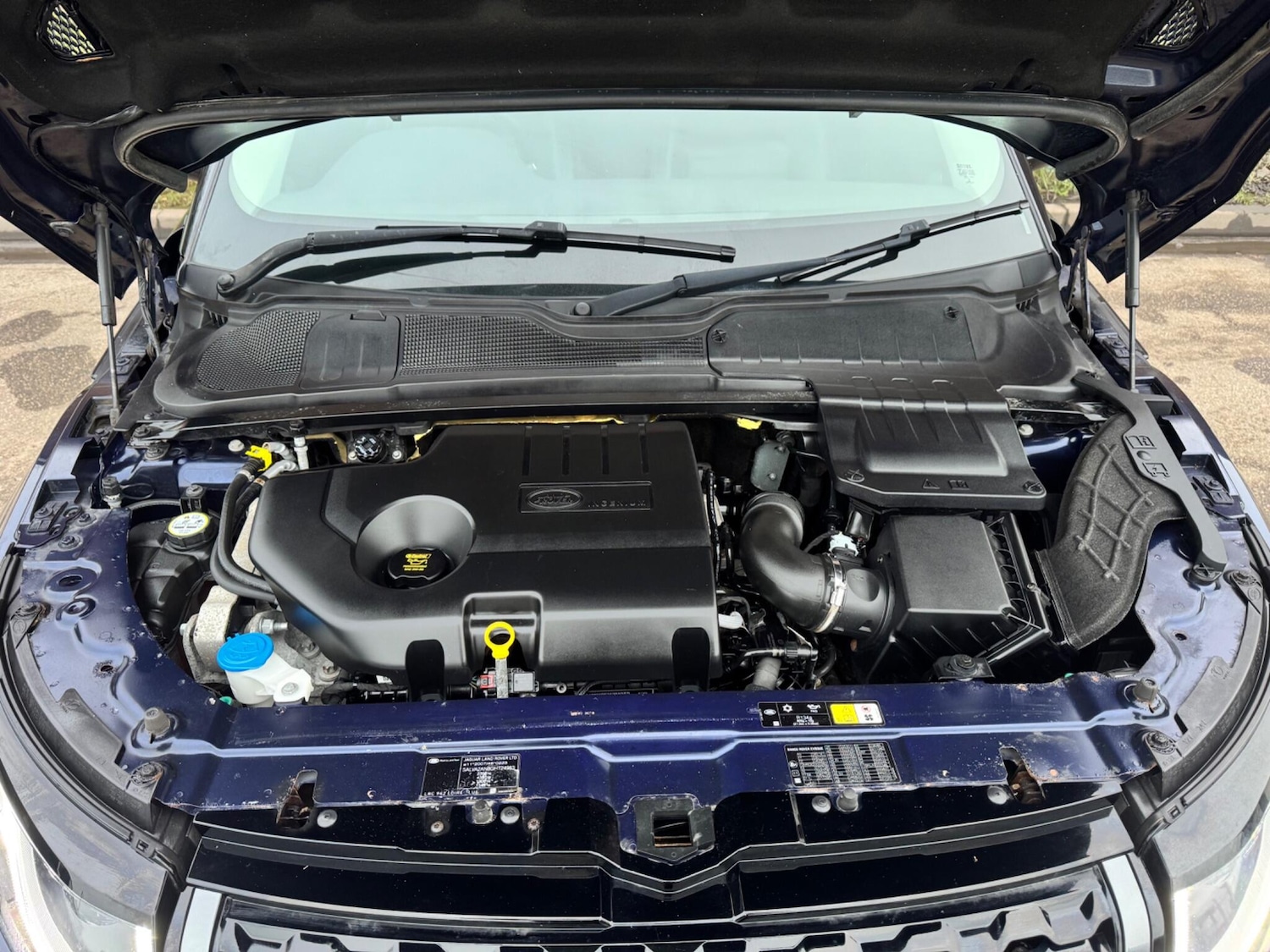 Used Land Rover Range Rover Evoque 2016 for sale - 77144020: Photo 24