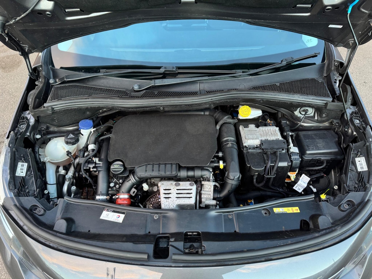 Used Peugeot 2008 2018 for sale - 78062583: Photo 19