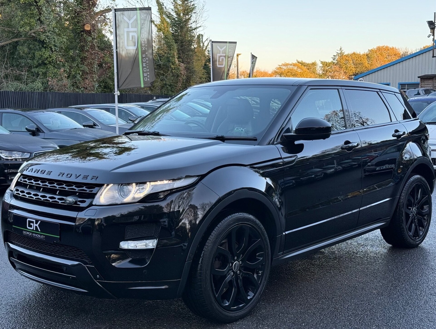 Used Land Rover Range Rover Evoque 2014 for sale - 76706011: Photo 11