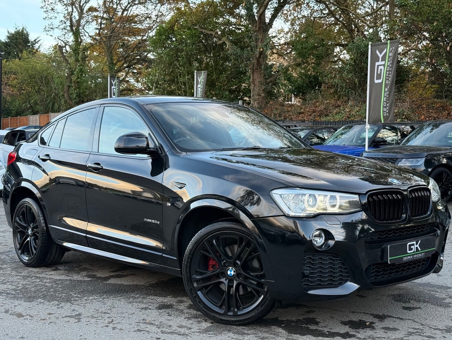 Used BMW X4 2017 for sale - 76541391: Photo 1