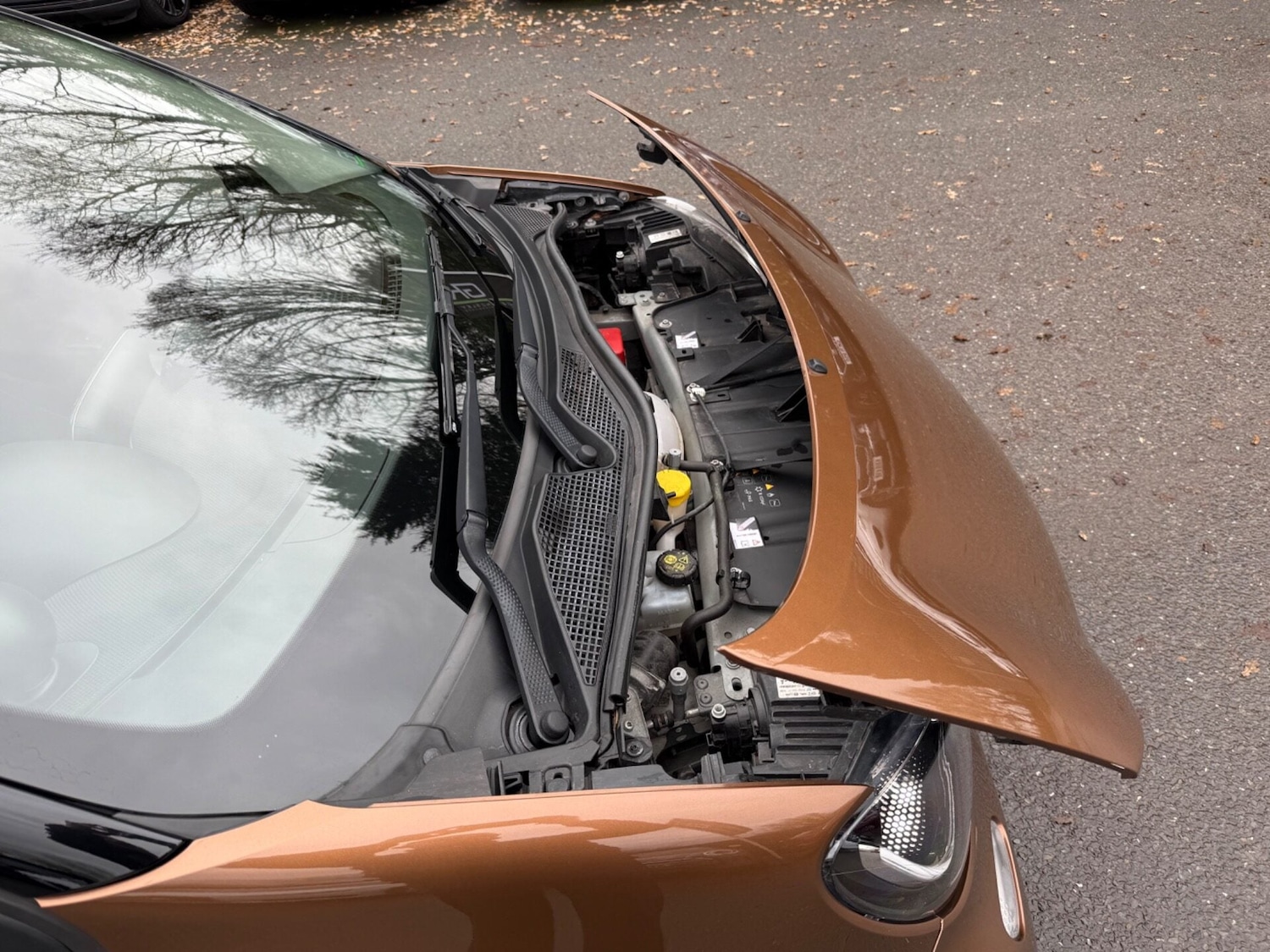 Used smart forfour 2017 for sale - 77582424: Photo 64