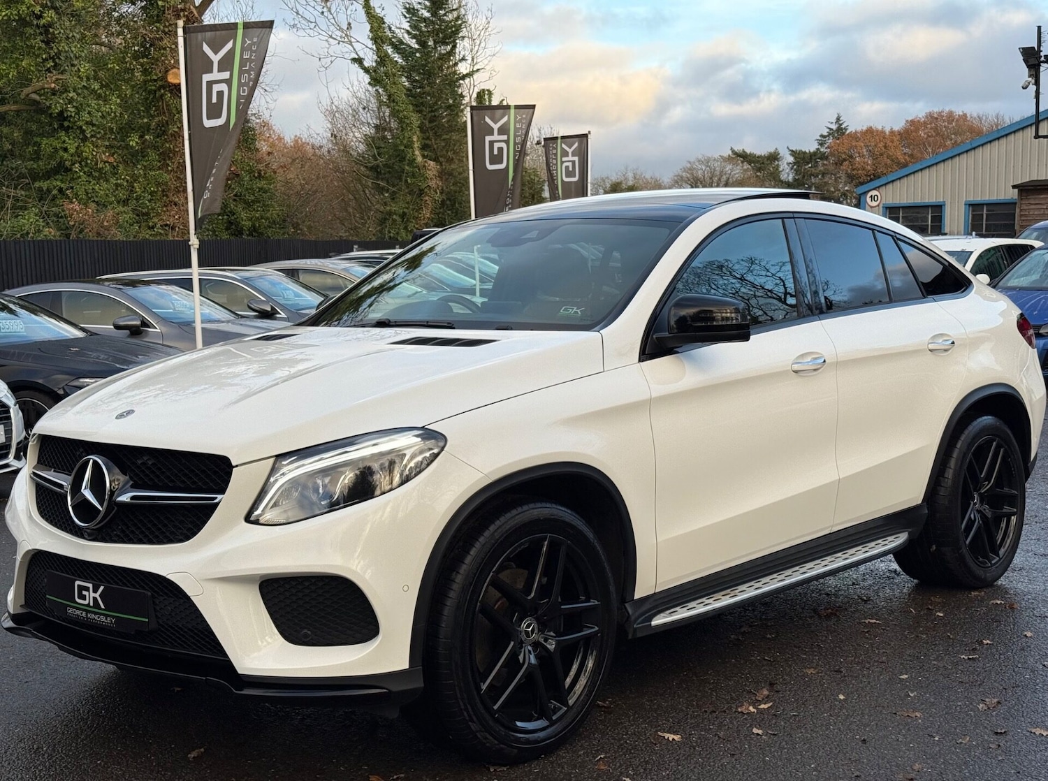 Used Mercedes-Benz GLE 2019 for sale - 76931150: Photo 13