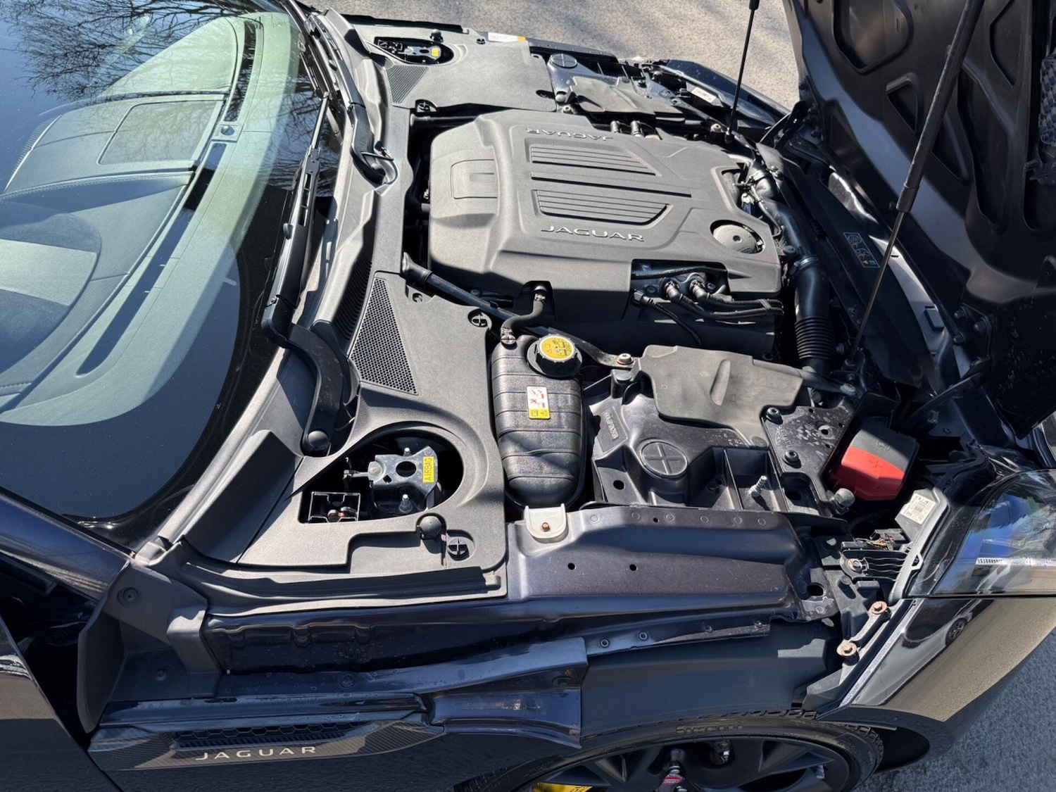 Used Jaguar F-Type 2015 for sale - 77952130: Photo 62