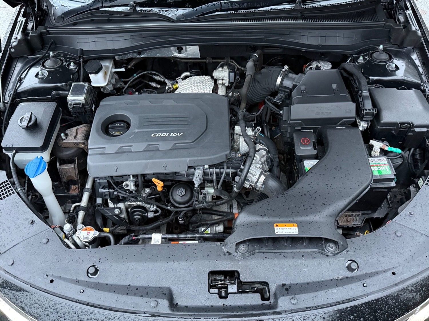 Used Kia Optima 2017 for sale - 76844887: Photo 56