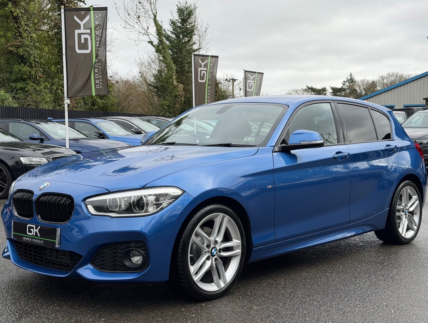 Used BMW 1 Series 2017 for sale - 77630089: Photo 12