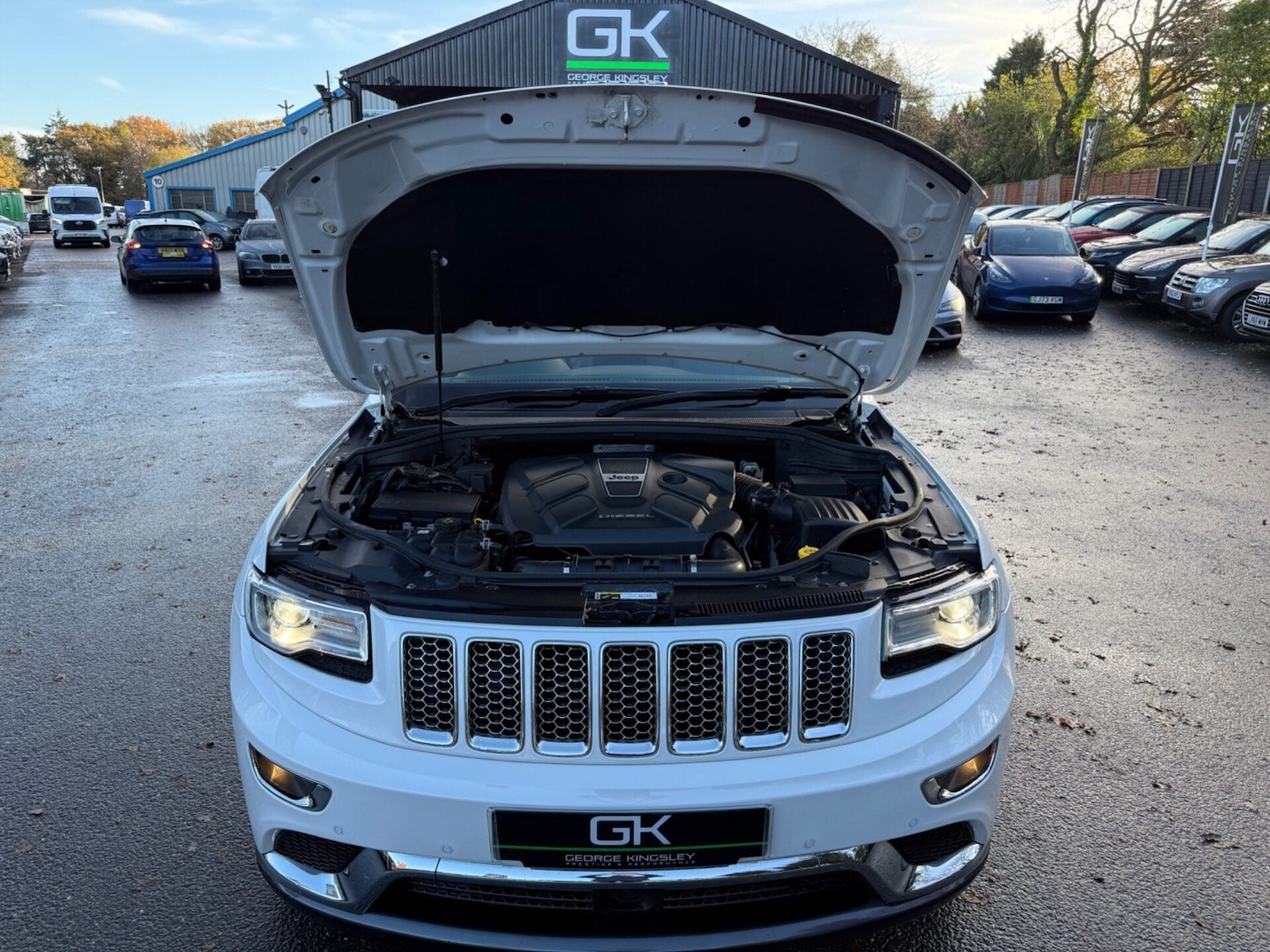 Used Jeep Grand Cherokee 2017 for sale - 76791370: Photo 67