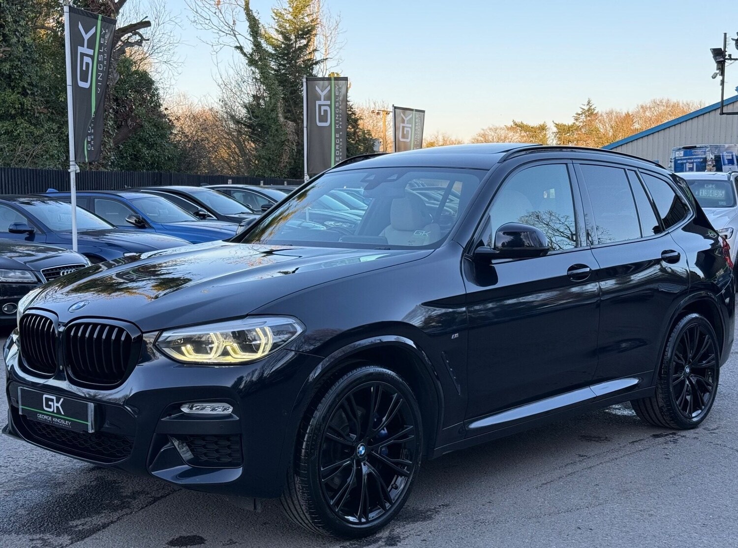Used BMW X3 2018 for sale - 77742666: Photo 11