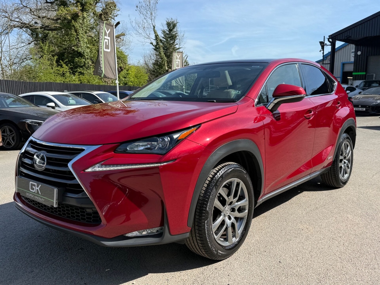 Used Lexus NX 2016 for sale - 78176266: Photo 12