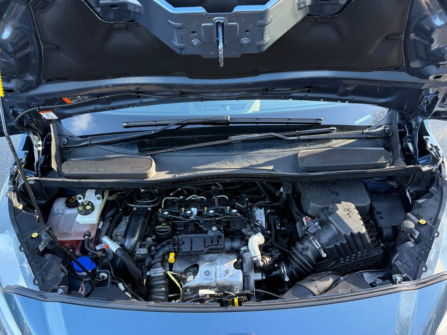 Used Ford Grand Tourneo Connect 2020 for sale - 77445861: Photo 52