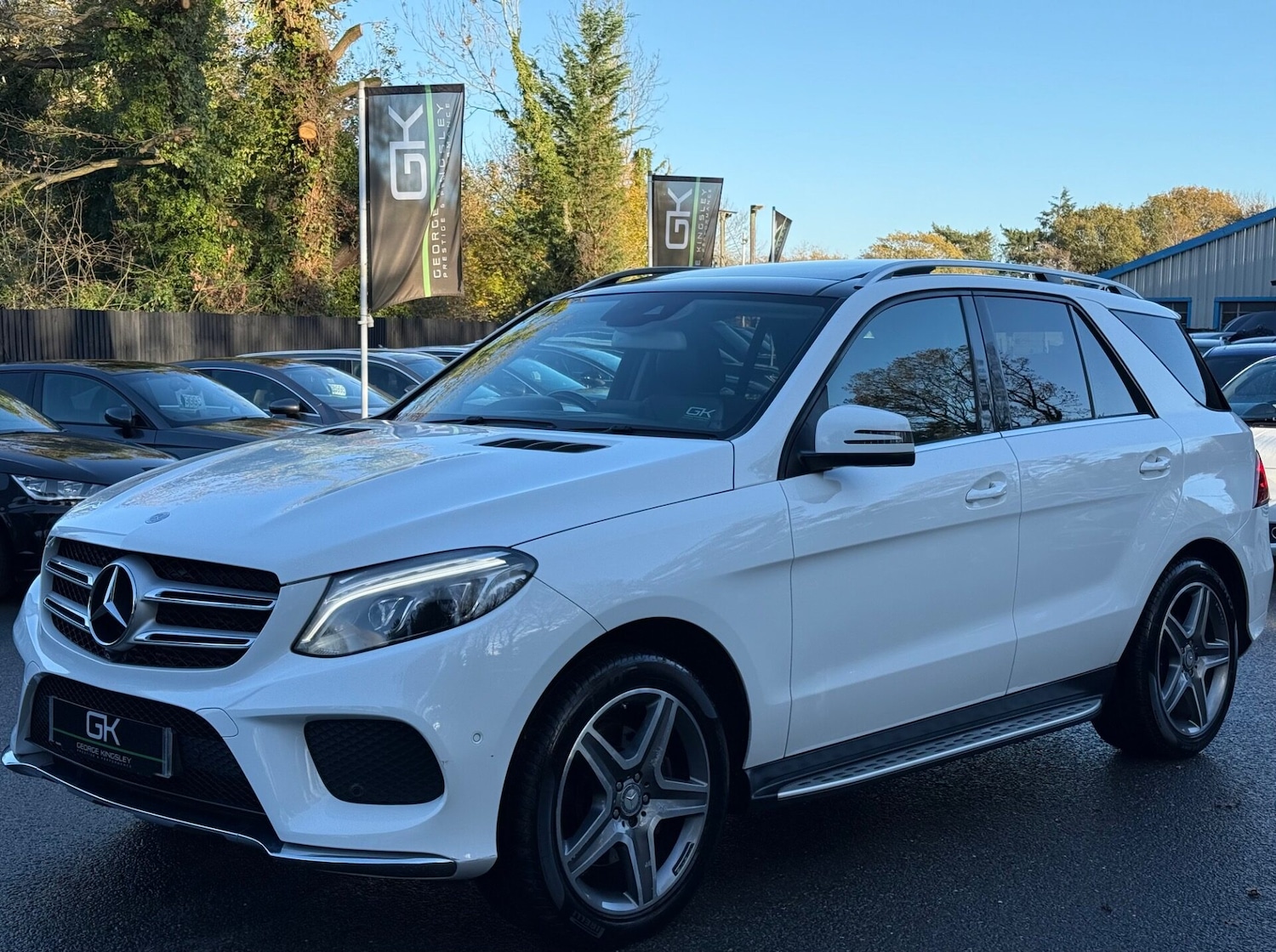 Used Mercedes-Benz GLE 2016 for sale - 76706018: Photo 11