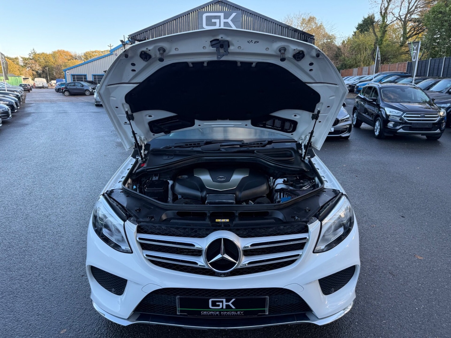 Used Mercedes-Benz GLE 2016 for sale - 76706018: Photo 68