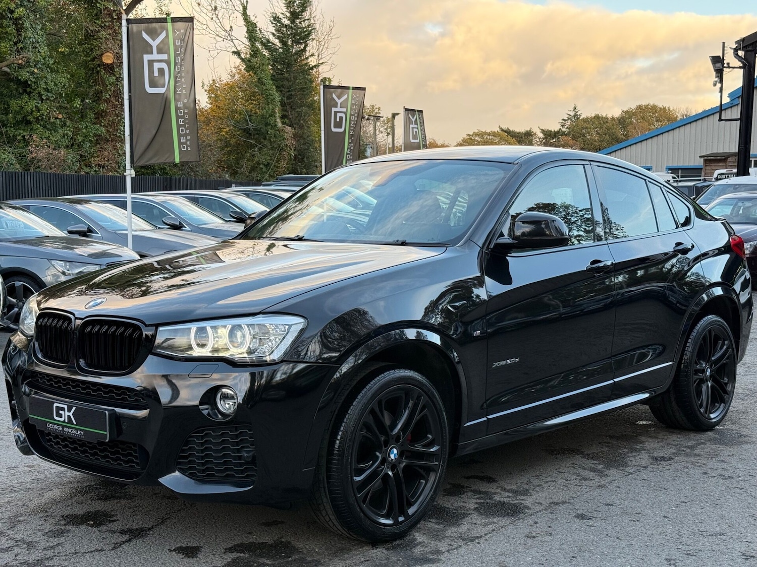 Used BMW X4 2017 for sale - 77365477: Photo 13