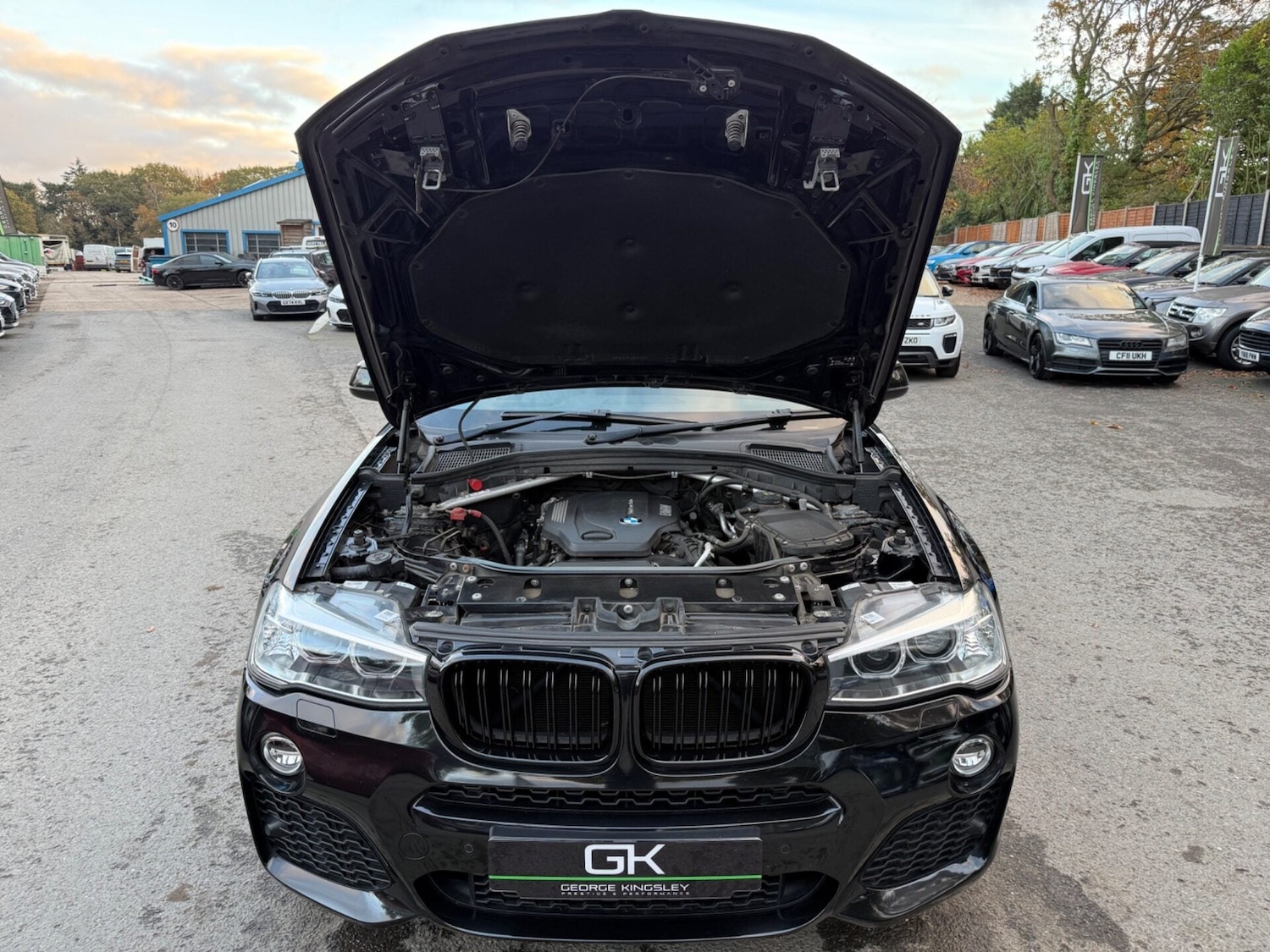 Used BMW X4 2017 for sale - 77365477: Photo 50