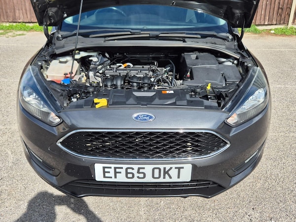 Used Ford Focus 2015 for sale - 76167500: Photo 13