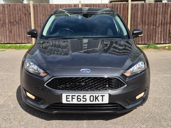 Used Ford Focus 2015 for sale - 76167500: Photo 14