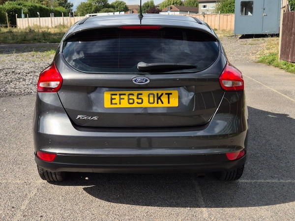 Used Ford Focus 2015 for sale - 76167500: Photo 15