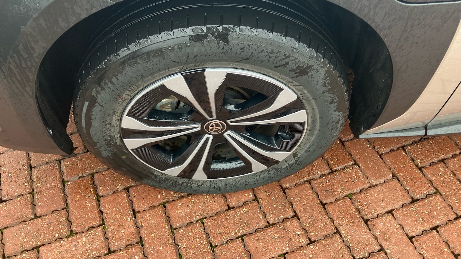 Used Toyota Other 2024 for sale - 77325998: Photo 28