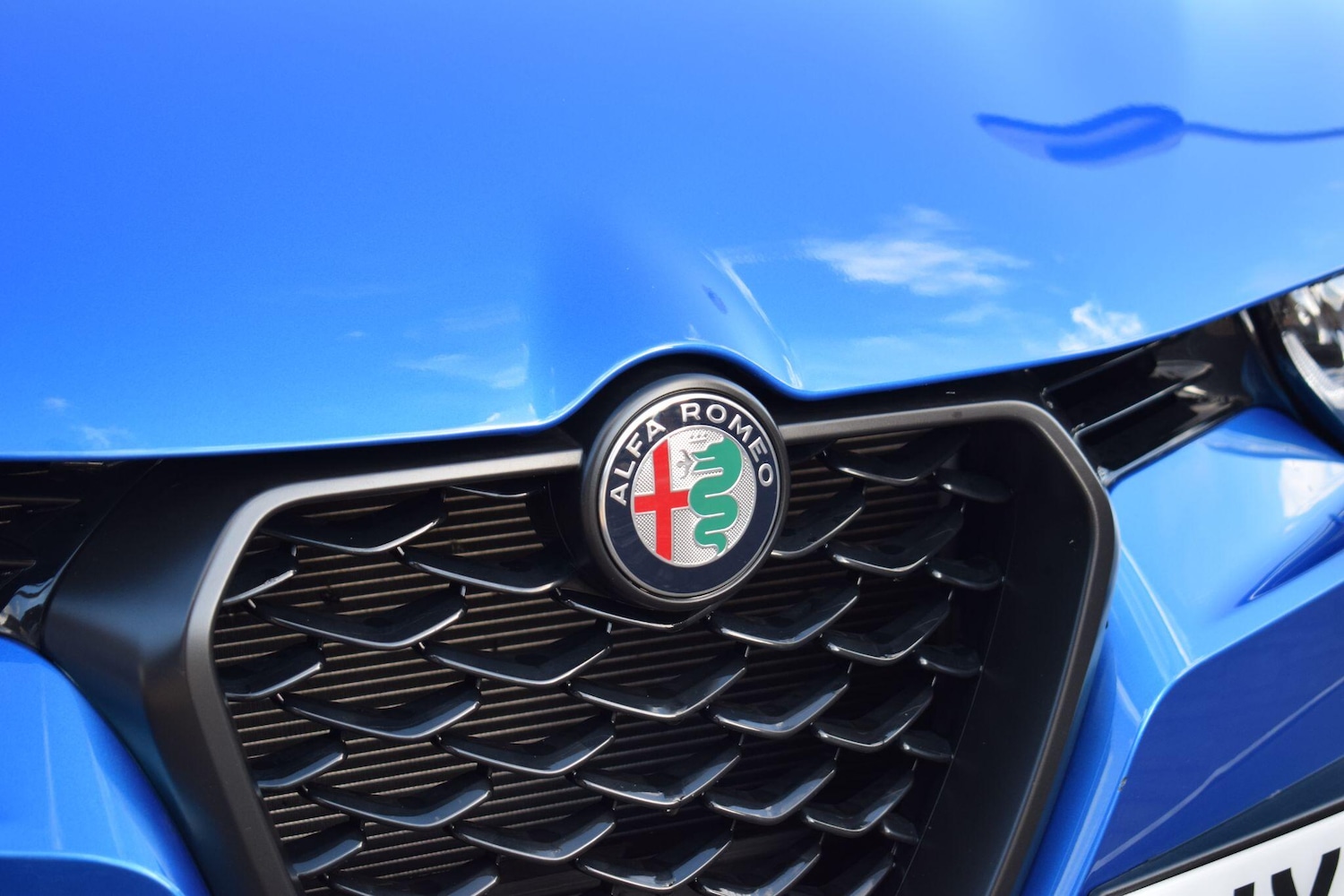 Used Alfa Romeo Tonale for sale - 77016091: Photo 16