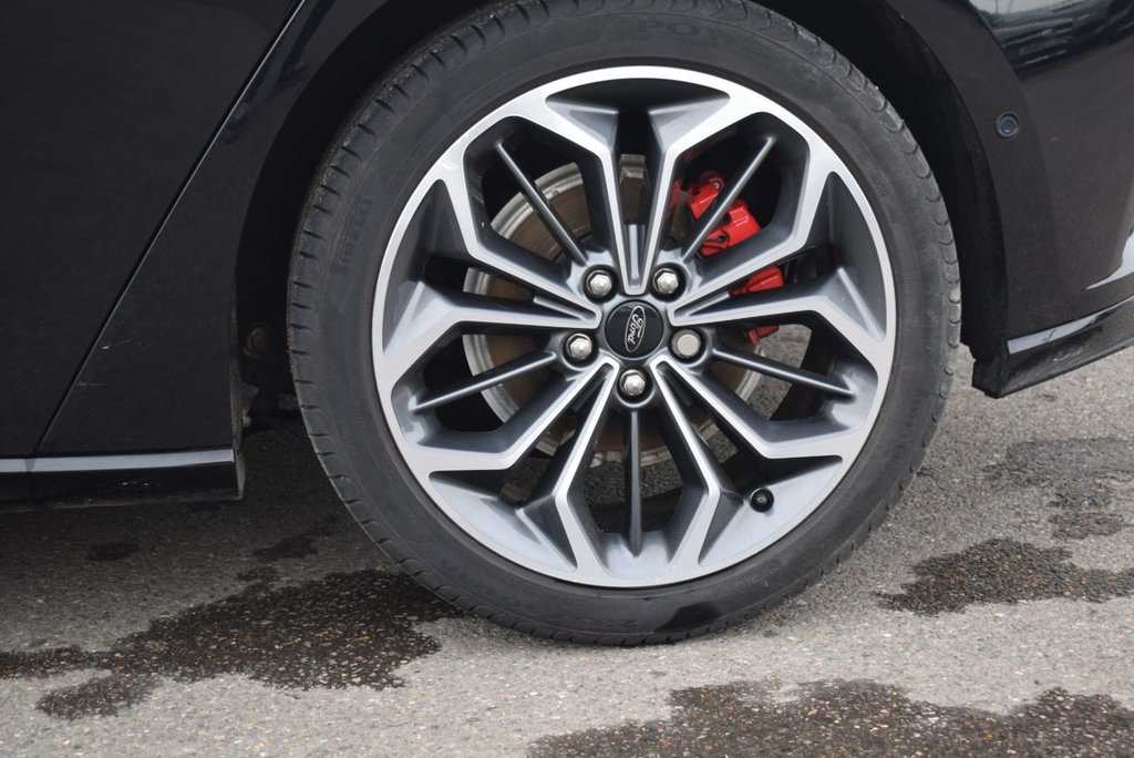 Used Ford Focus 2024 for sale - 77666990: Photo 12