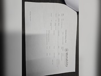 Used Ford Fiesta 2010 for sale - 77279471: Photo