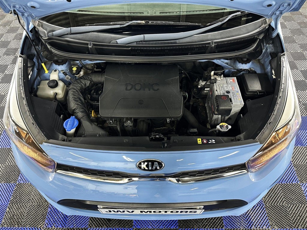 Used Kia Picanto 2017 for sale - 77619482: Photo 63