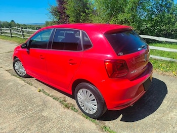Used Volkswagen Polo 2015 for sale - 78412014: Photo