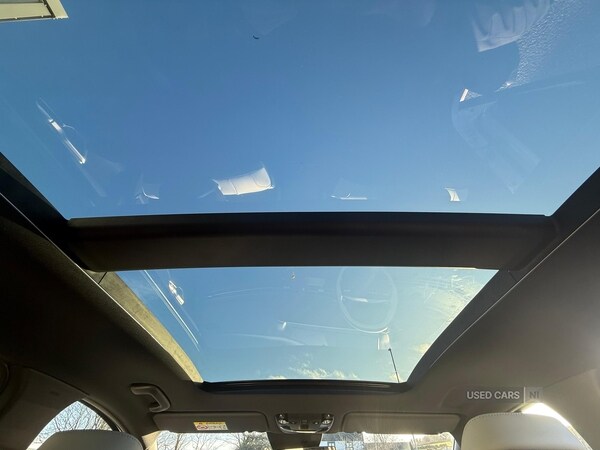 Used Kia Sportage 2025 for sale - 77230912: Photo 13