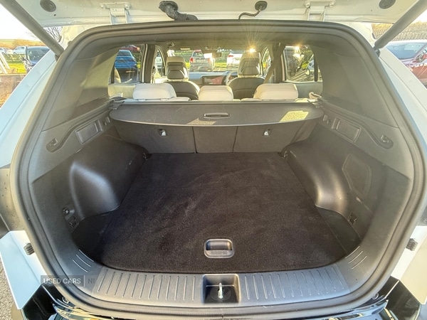 Used Kia Sportage 2025 for sale - 77230912: Photo 7