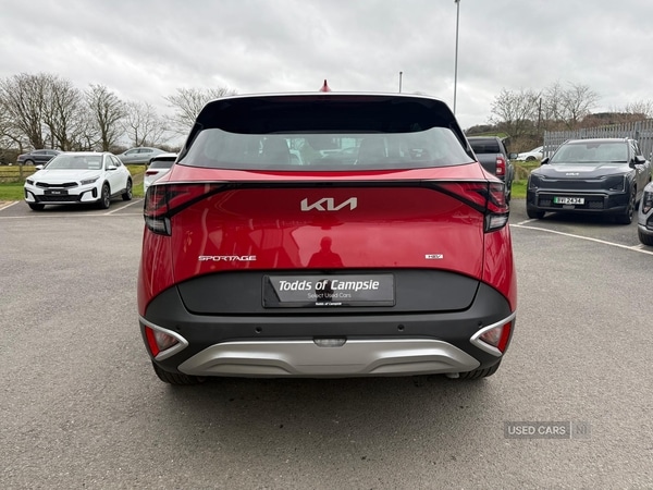 Used Kia Sportage 2025 for sale - 77840294: Photo 6