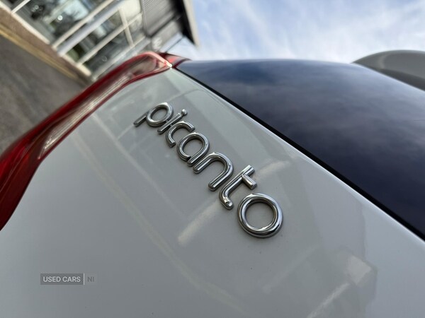 Used Kia Picanto 2021 for sale - 77550954: Photo 27