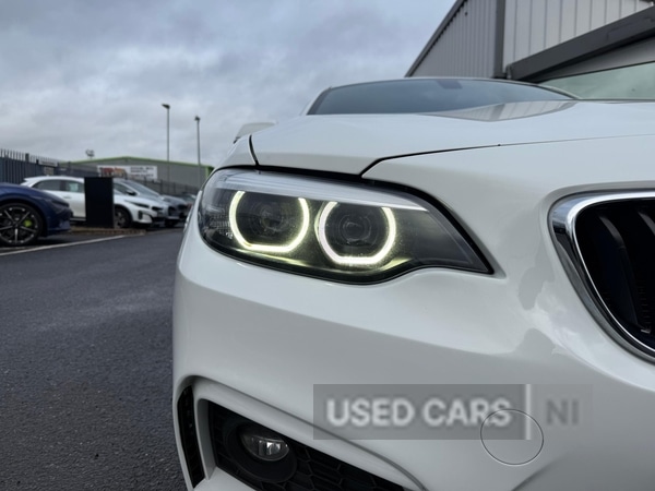 Used BMW 2 Series 2019 for sale - 78102043: Photo 29